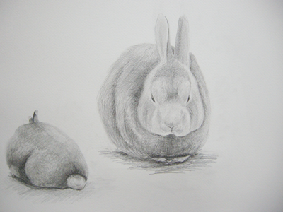 社会人・大学生クラス｜絵画教室「アトリエ・ミロ」｜立川美術学院